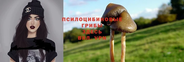 не бодяженный Липки