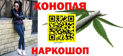 шишки Заводоуковск