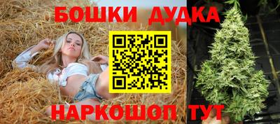 шишки Заводоуковск