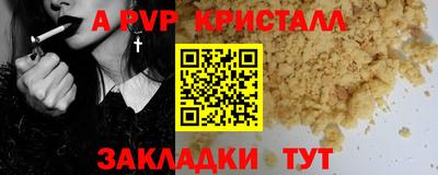 шишки Заводоуковск