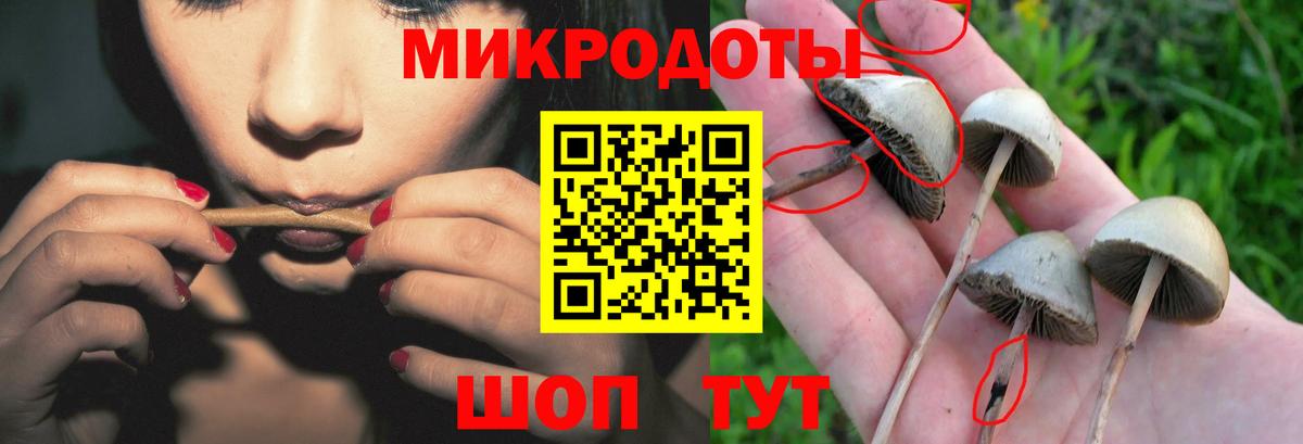 Нововоронеж  Галлюциногенные грибы Magic Shrooms  Псилоцибиновые грибы ЛСД  Вход с VPN 